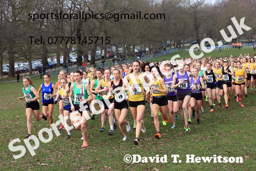 Senior Women, 2024 CAU Inter Counties Cross Country Champs., Wollaton Park, Nottingham. Photo: David T. Hewitson/Sports for All Pics